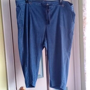 Torrid cambre pants